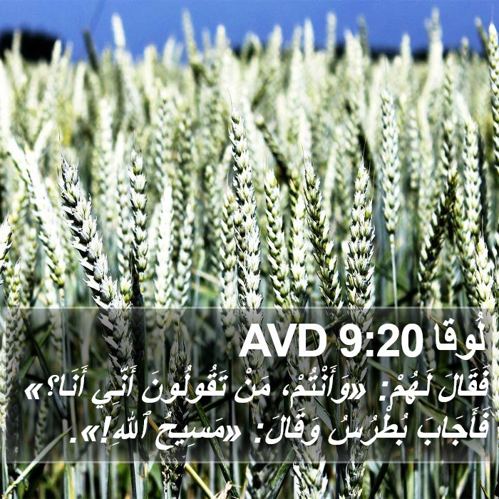 لُوقا 9:20 AVD Bible Study