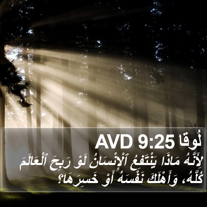 لُوقا 9:25 AVD Bible Study
