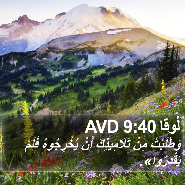 لُوقا 9:40 AVD Bible Study