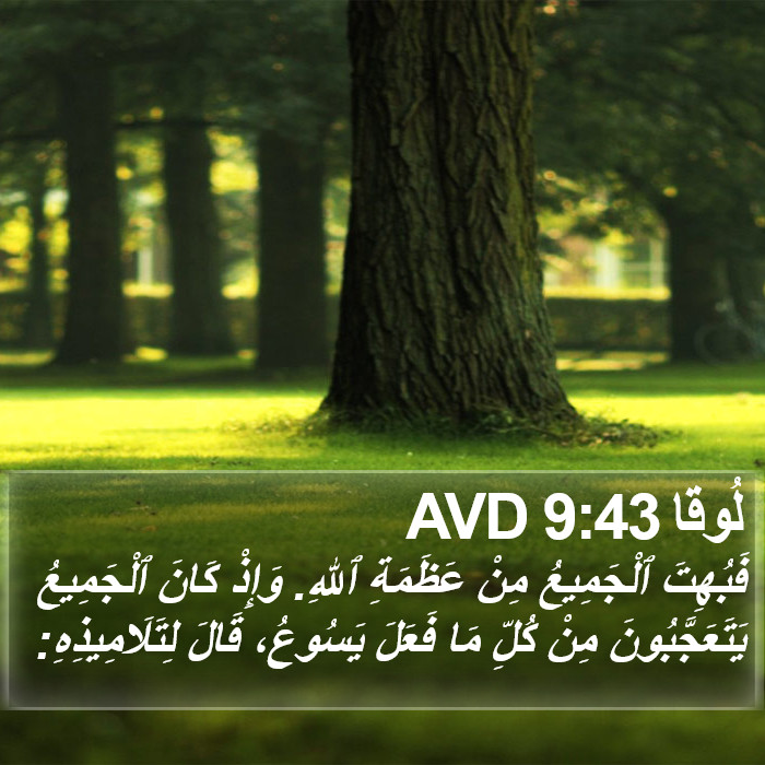 لُوقا 9:43 AVD Bible Study
