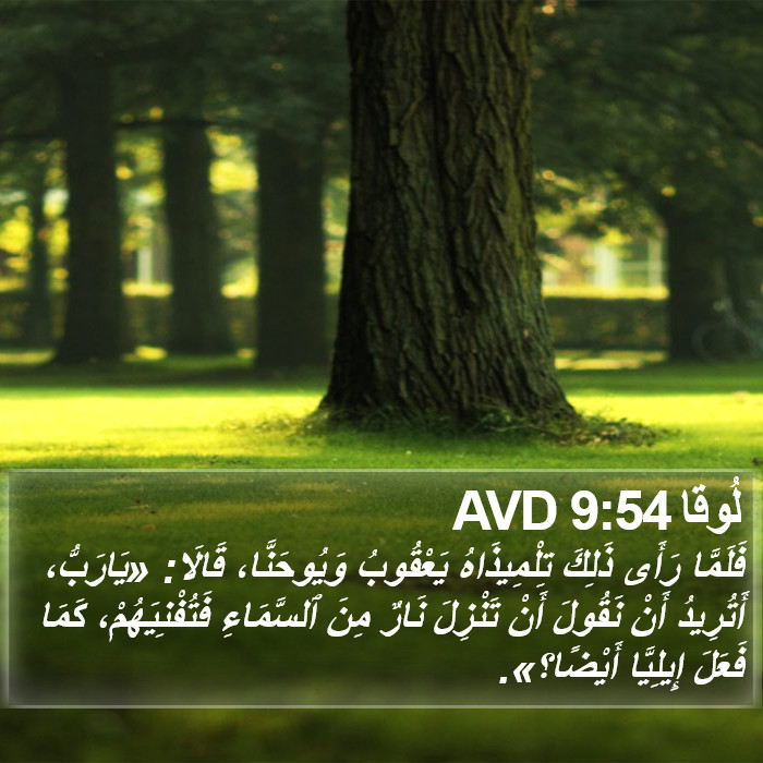 لُوقا 9:54 AVD Bible Study