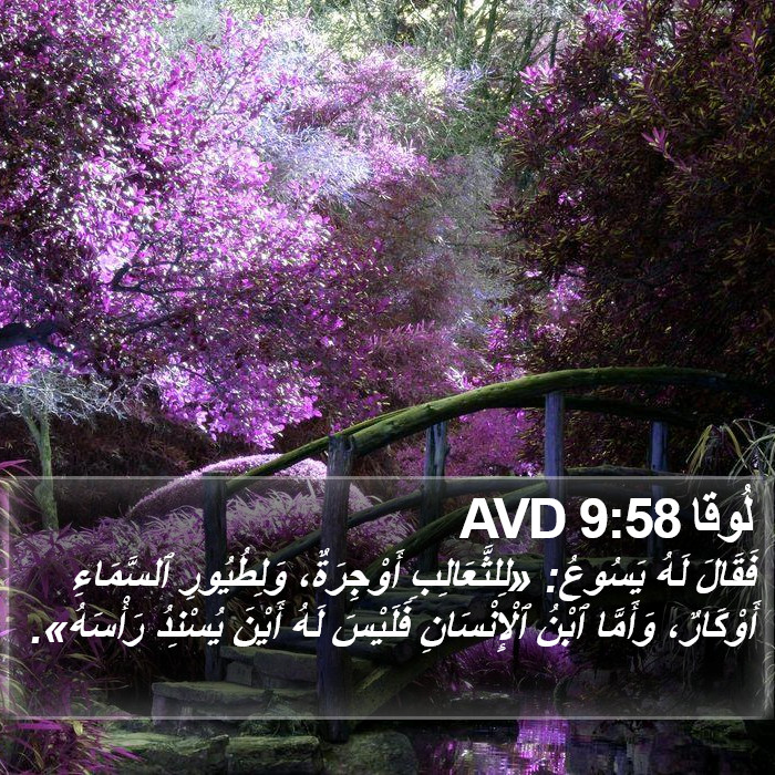 لُوقا 9:58 AVD Bible Study