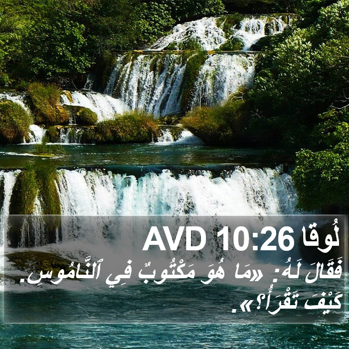 لُوقا 10:26 AVD Bible Study