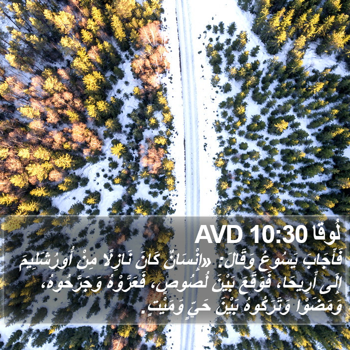 لُوقا 10:30 AVD Bible Study