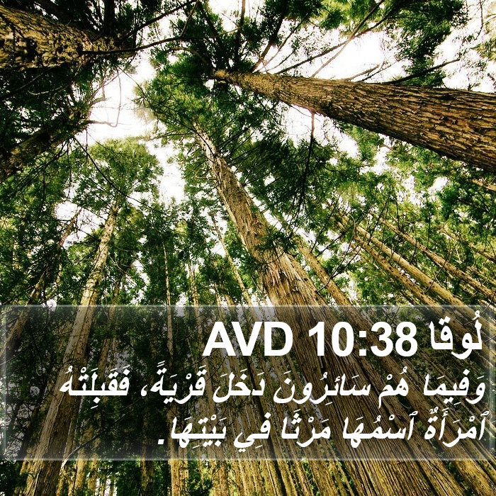 لُوقا 10:38 AVD Bible Study