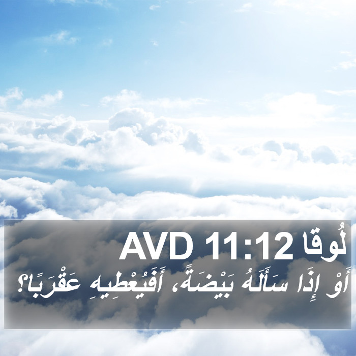 لُوقا 11:12 AVD Bible Study