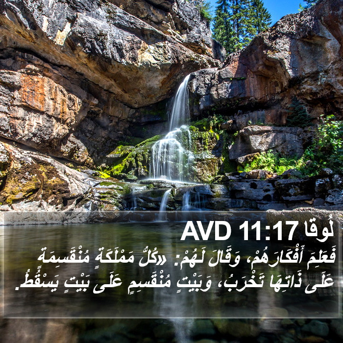 لُوقا 11:17 AVD Bible Study