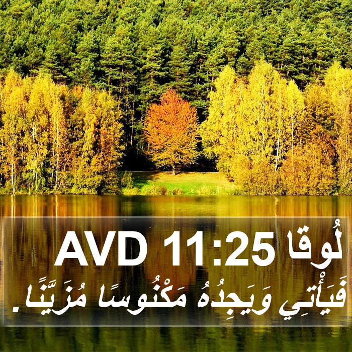 لُوقا 11:25 AVD Bible Study