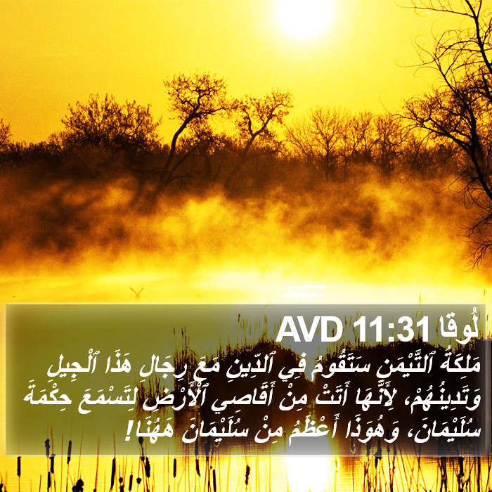 لُوقا 11:31 AVD Bible Study