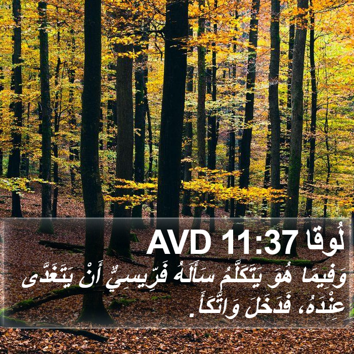 لُوقا 11:37 AVD Bible Study