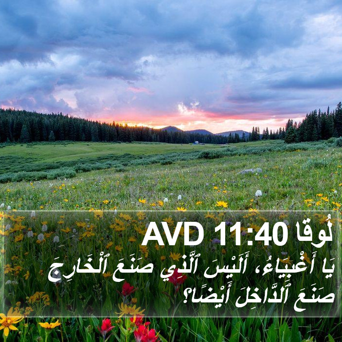 لُوقا 11:40 AVD Bible Study