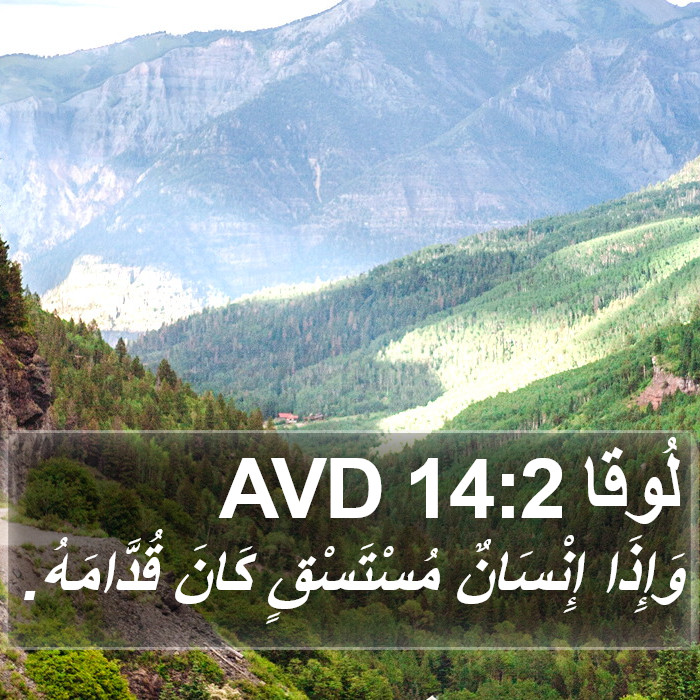 لُوقا 14:2 AVD Bible Study