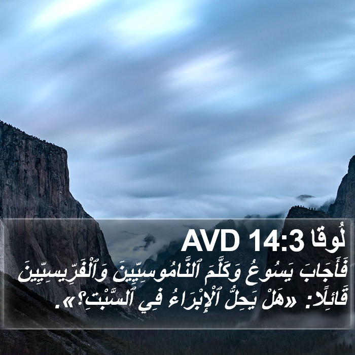 لُوقا 14:3 AVD Bible Study
