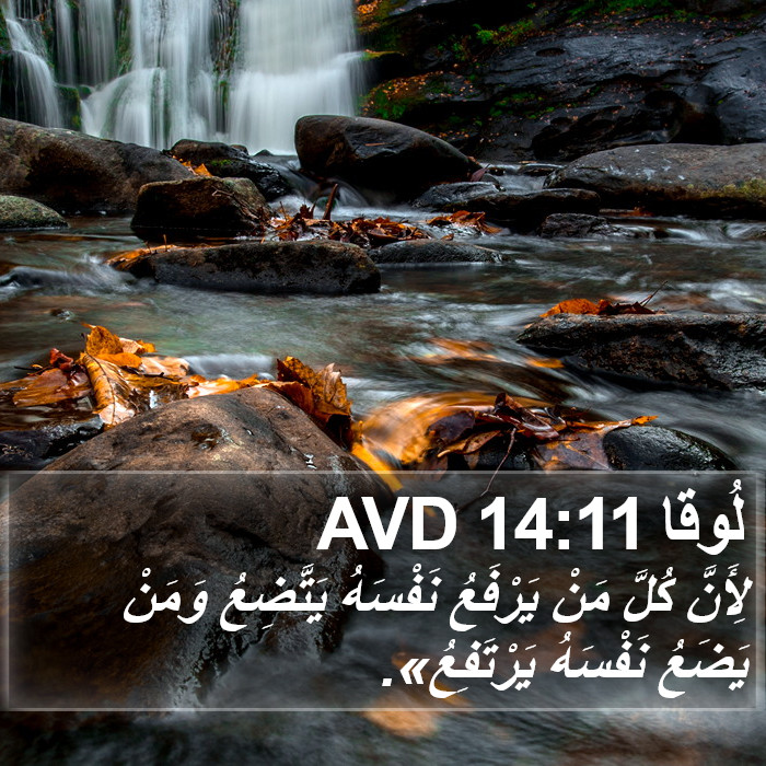لُوقا 14:11 AVD Bible Study