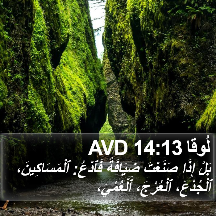 لُوقا 14:13 AVD Bible Study