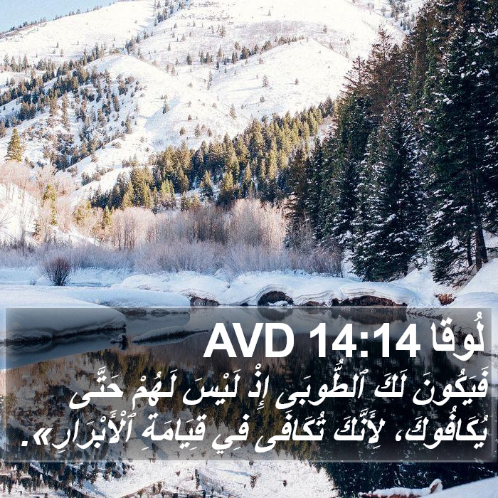 لُوقا 14:14 AVD Bible Study