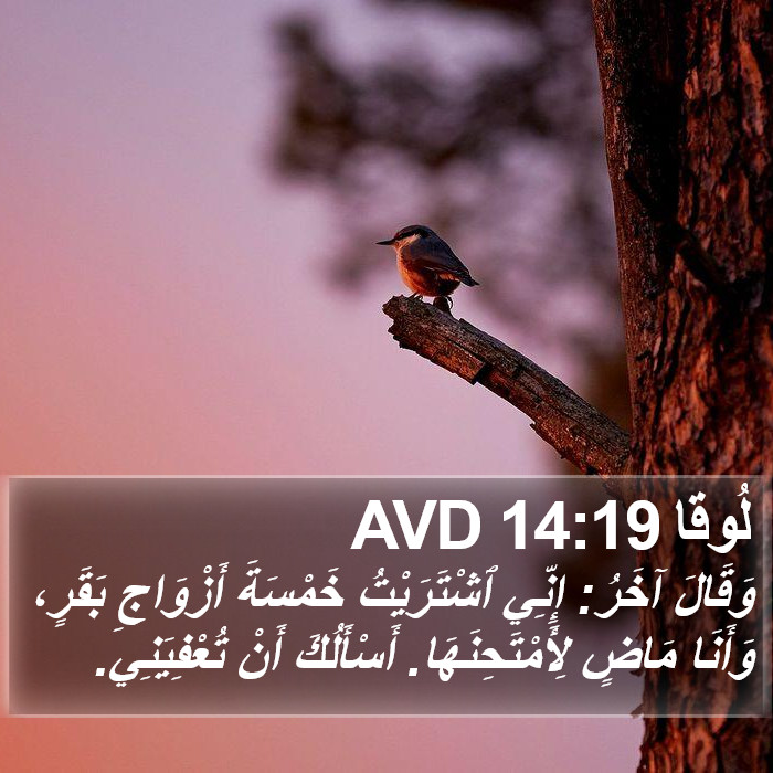لُوقا 14:19 AVD Bible Study
