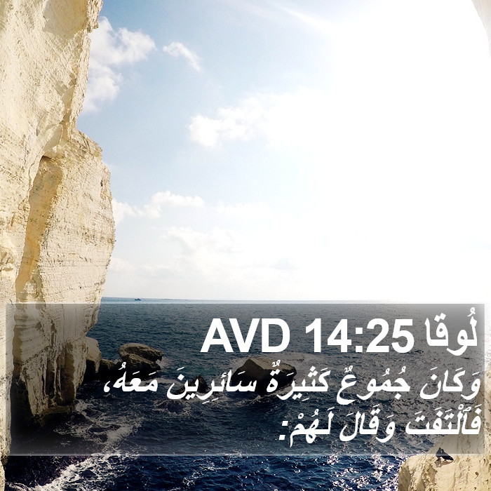لُوقا 14:25 AVD Bible Study