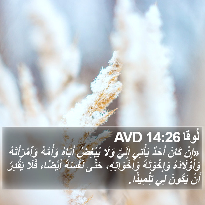 لُوقا 14:26 AVD Bible Study