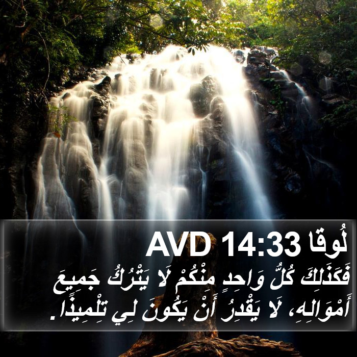 لُوقا 14:33 AVD Bible Study