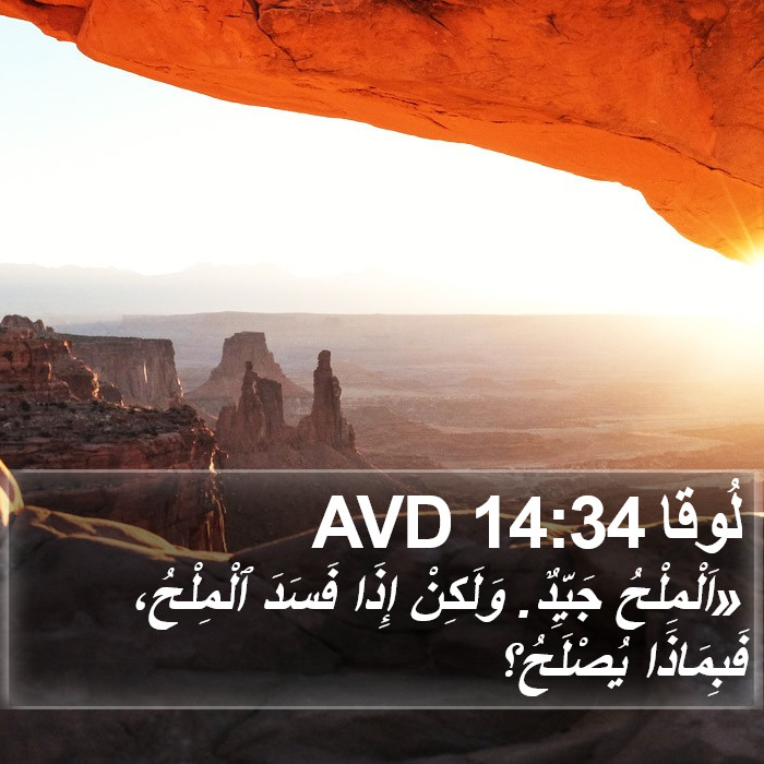 لُوقا 14:34 AVD Bible Study