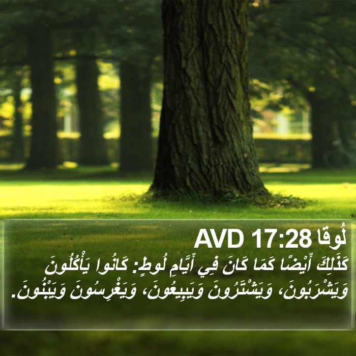 لُوقا 17:28 AVD Bible Study