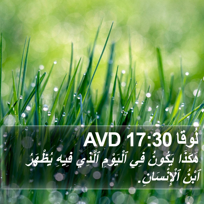 لُوقا 17:30 AVD Bible Study