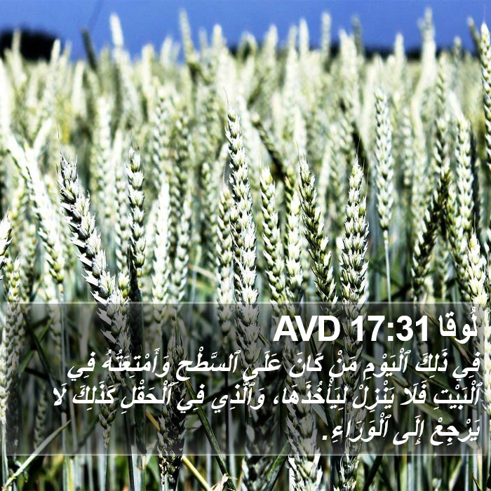 لُوقا 17:31 AVD Bible Study