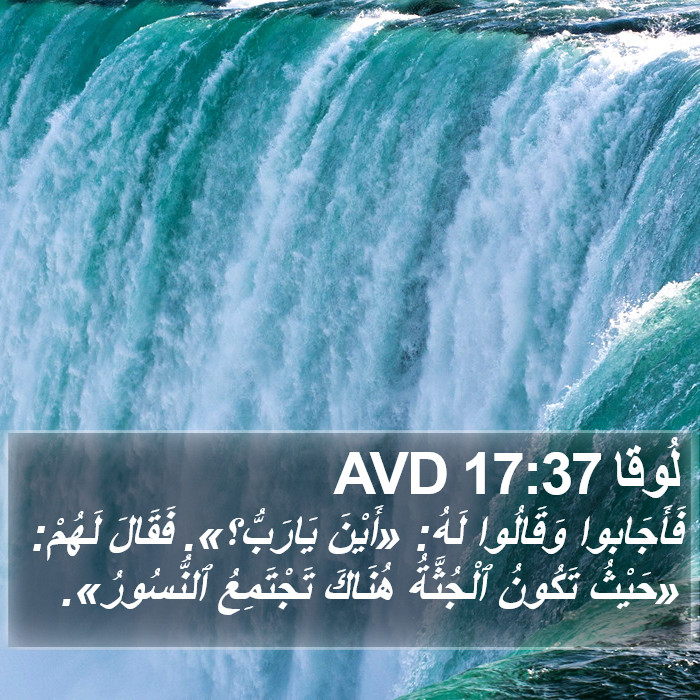 لُوقا 17:37 AVD Bible Study