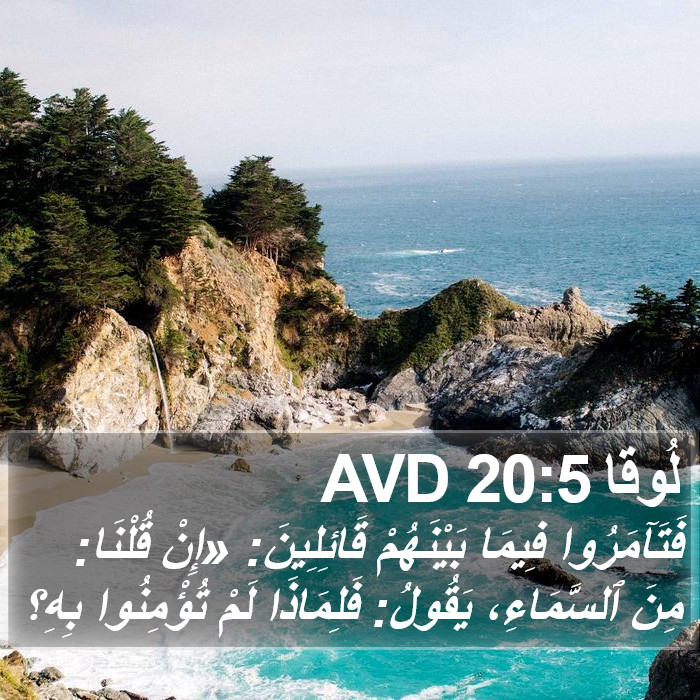 لُوقا 20:5 AVD Bible Study