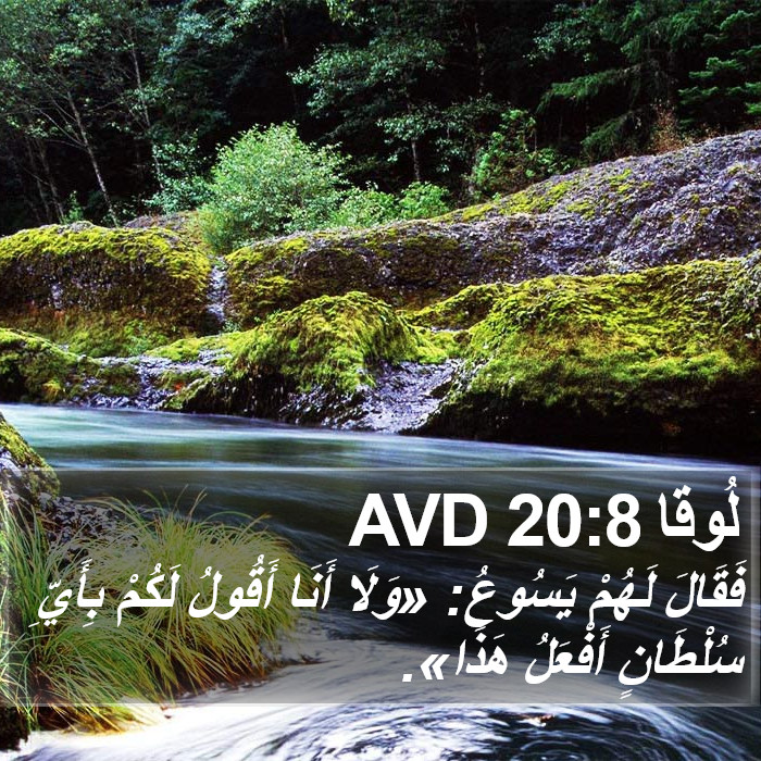 لُوقا 20:8 AVD Bible Study