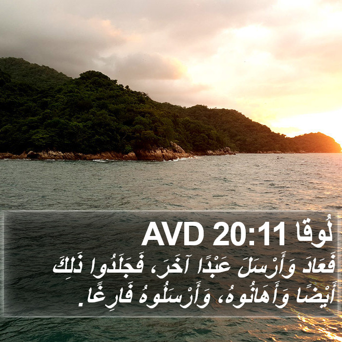 لُوقا 20:11 AVD Bible Study