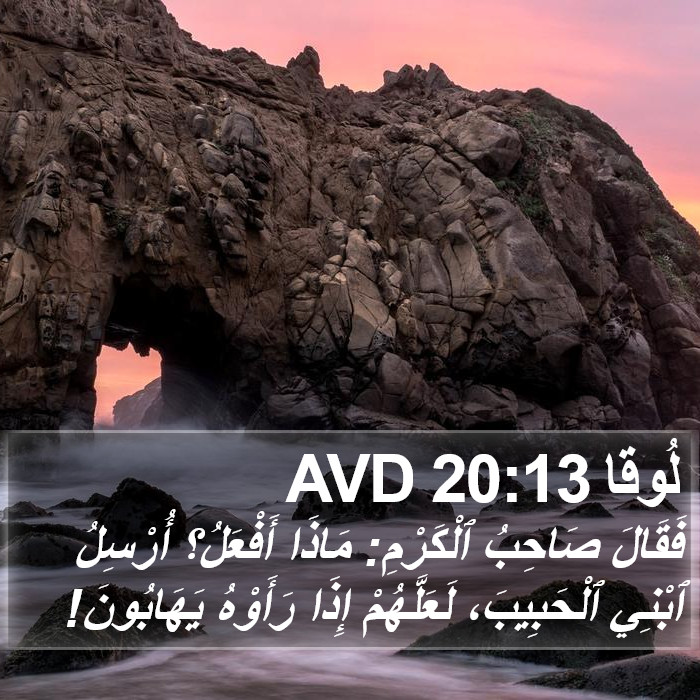 لُوقا 20:13 AVD Bible Study