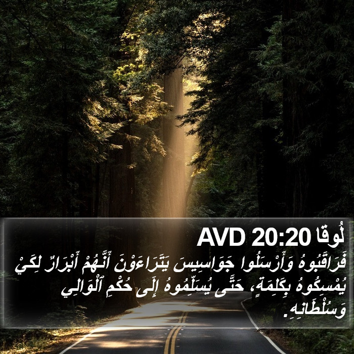 لُوقا 20:20 AVD Bible Study