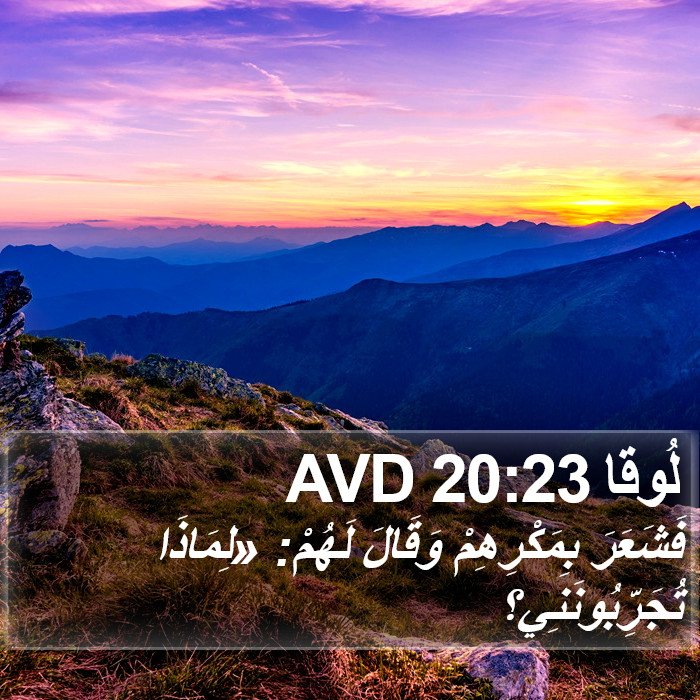 لُوقا 20:23 AVD Bible Study