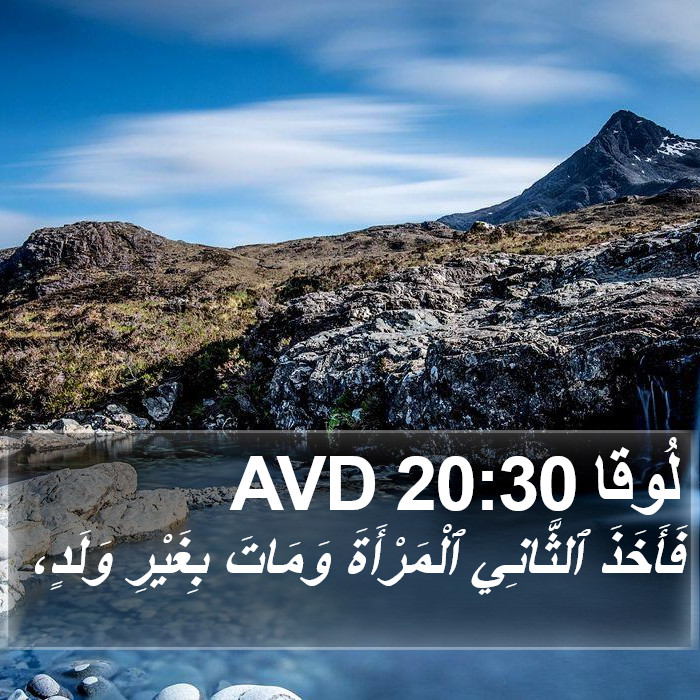 لُوقا 20:30 AVD Bible Study