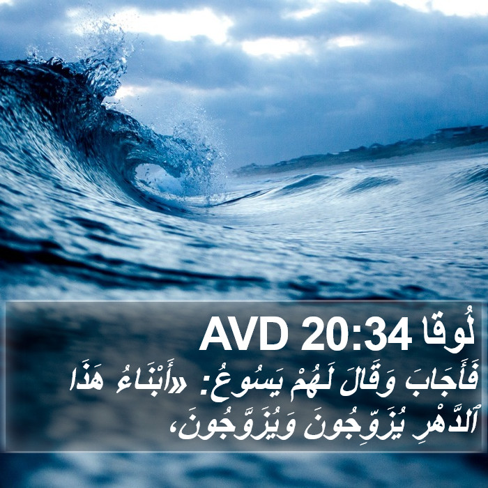 لُوقا 20:34 AVD Bible Study