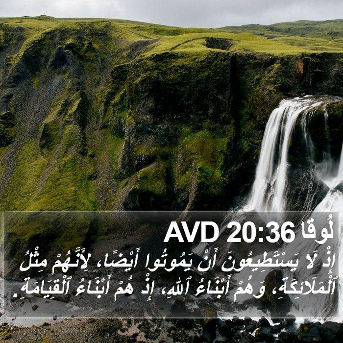 لُوقا 20:36 AVD Bible Study