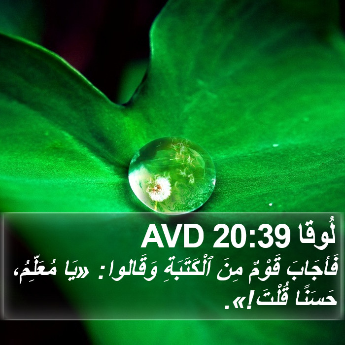 لُوقا 20:39 AVD Bible Study