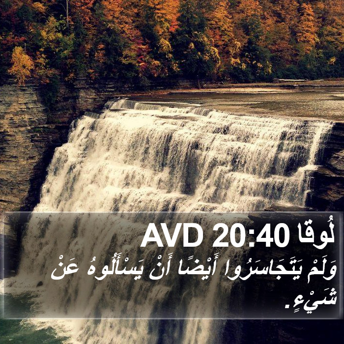 لُوقا 20:40 AVD Bible Study