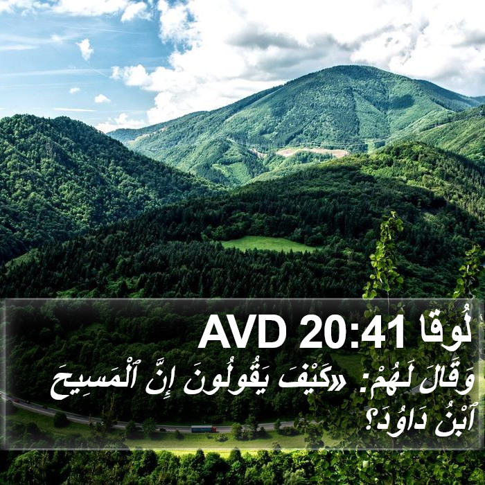 لُوقا 20:41 AVD Bible Study