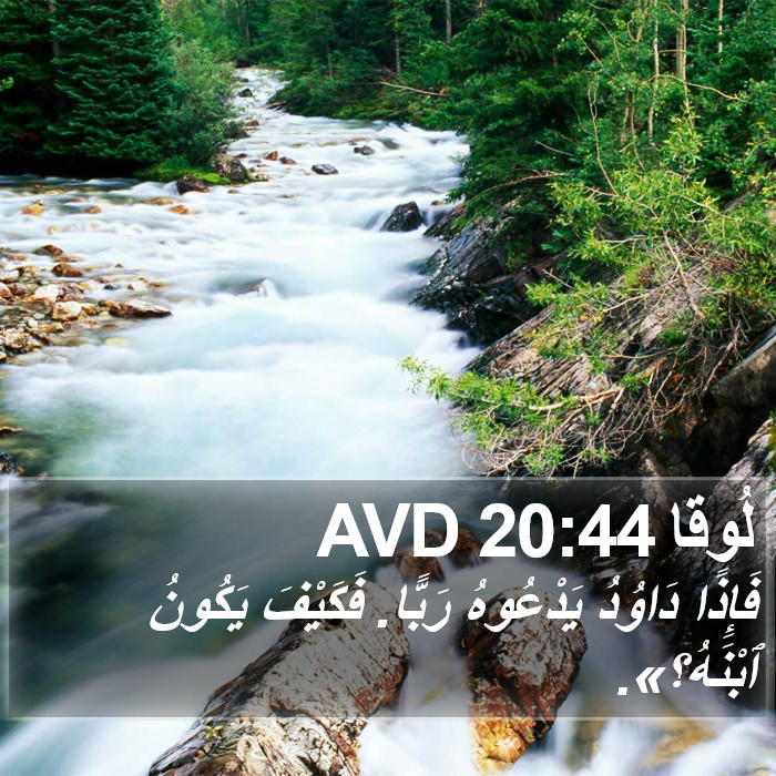 لُوقا 20:44 AVD Bible Study