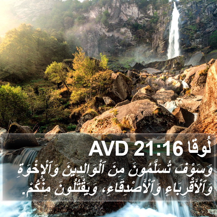 لُوقا 21:16 AVD Bible Study