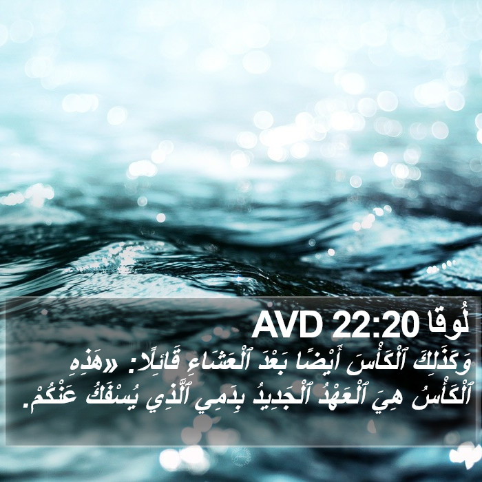 لُوقا 22:20 AVD Bible Study