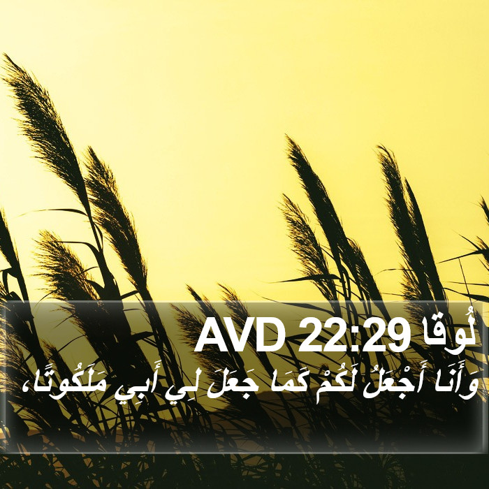 لُوقا 22:29 AVD Bible Study