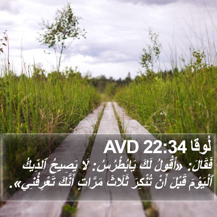 لُوقا 22:34 AVD Bible Study