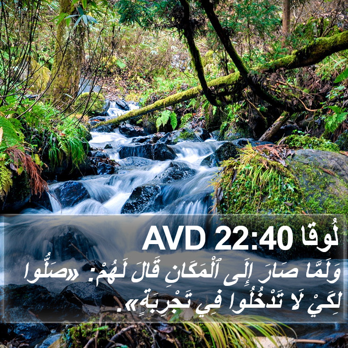 لُوقا 22:40 AVD Bible Study