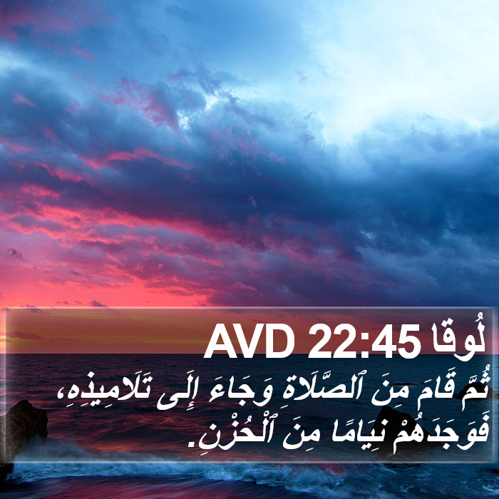 لُوقا 22:45 AVD Bible Study