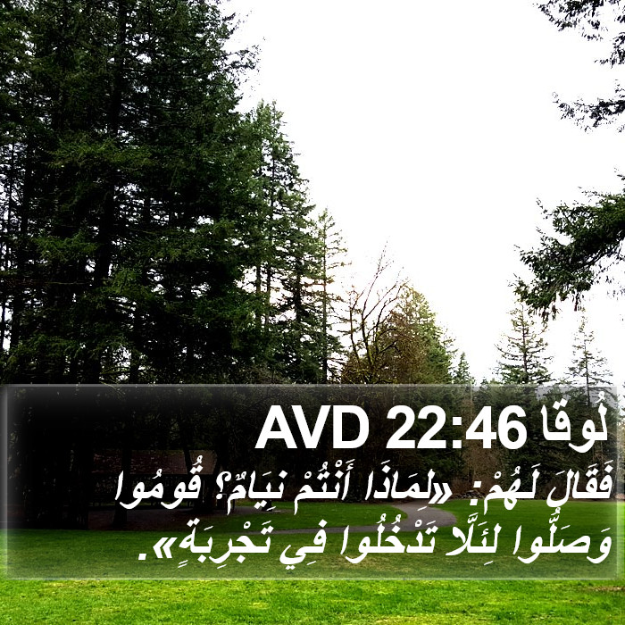 لُوقا 22:46 AVD Bible Study