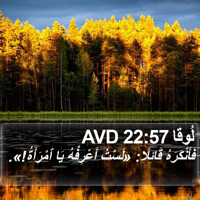 لُوقا 22:57 AVD Bible Study